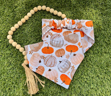 Piper’s Pumpkins Scrunchie Dog Bandana