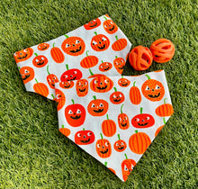 Whimsical Pumpkin Scrunchie Dog Bandana