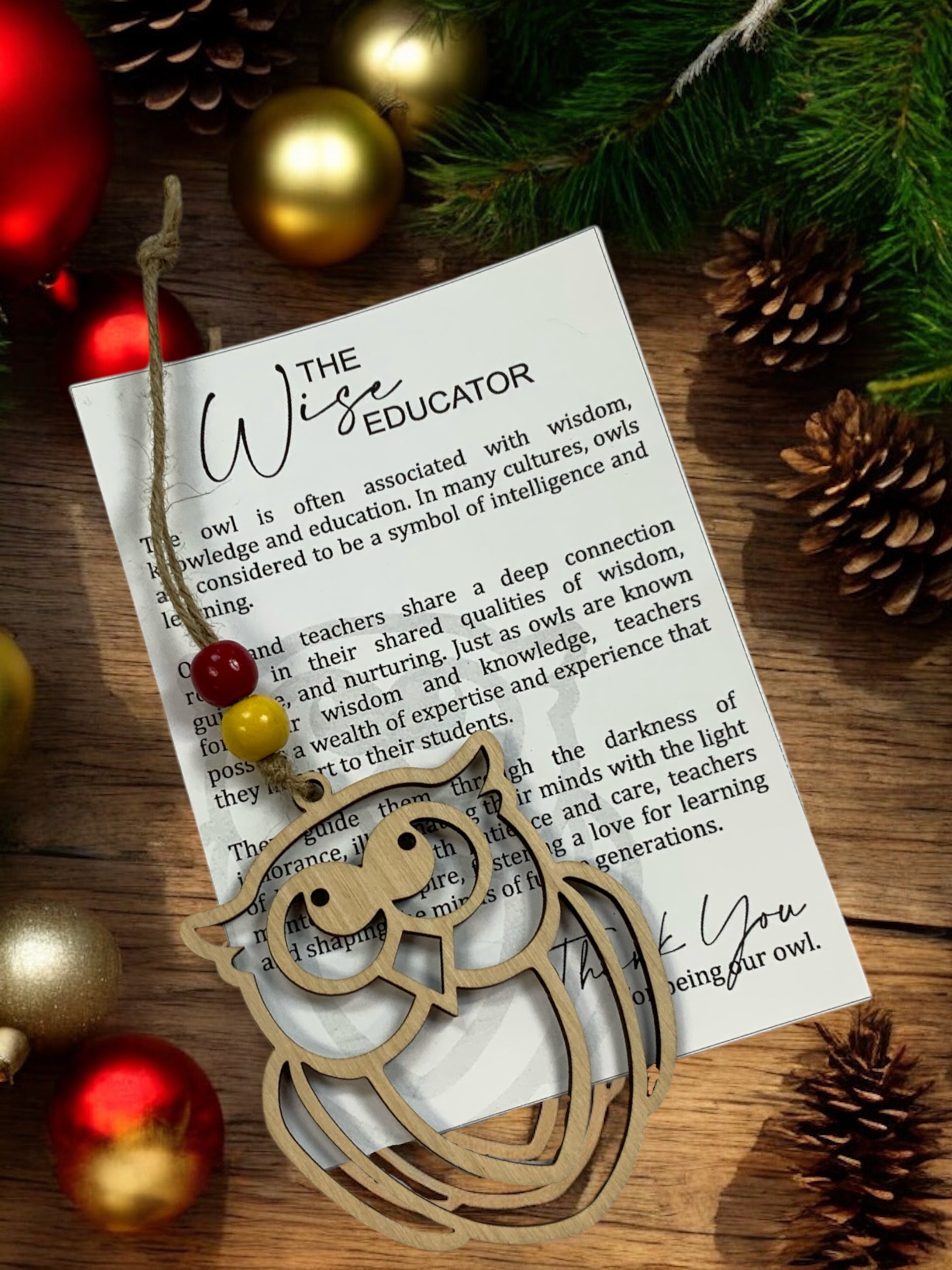 The Wise Educator Owl Story Card Ornament