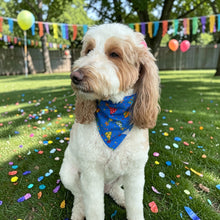 Party Hats Scrunchie Dog Bandana